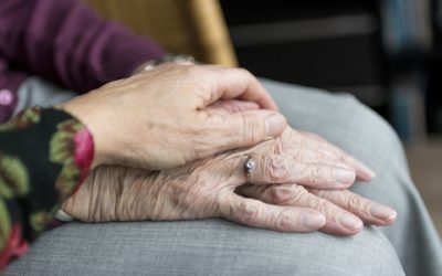 Vak na vodu v domově důchodců dělá radost seniorům a prospívá rostlinám